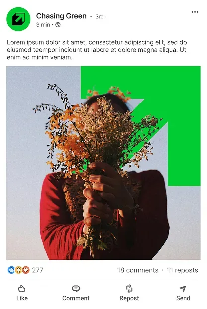 Chasing Green LinkedIn post with a person holding a bouquet of dried flowers